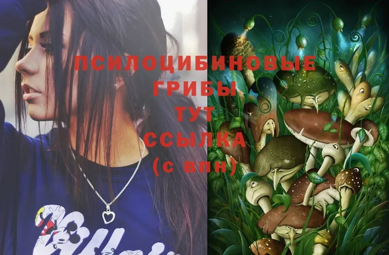 Галлюциногенные грибы Magic Shrooms  Ишимбай 